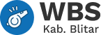 WBS